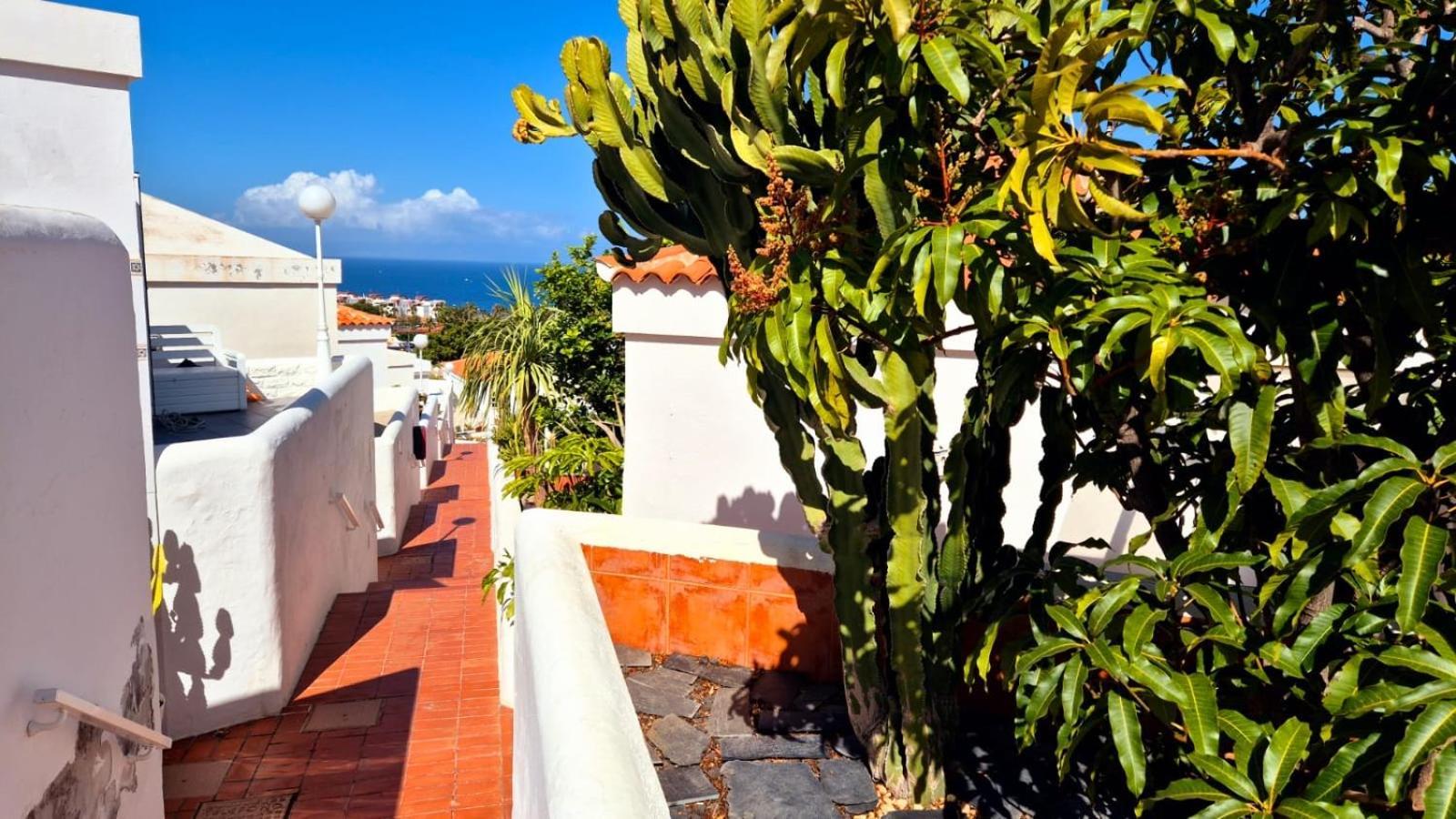 Costa Adeje Bungalow -Tenerife Zewnętrze zdjęcie