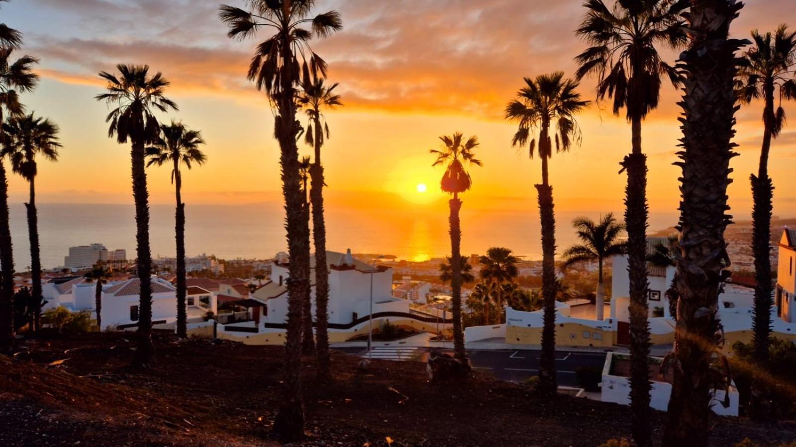 Costa Adeje Bungalow -Tenerife Zewnętrze zdjęcie