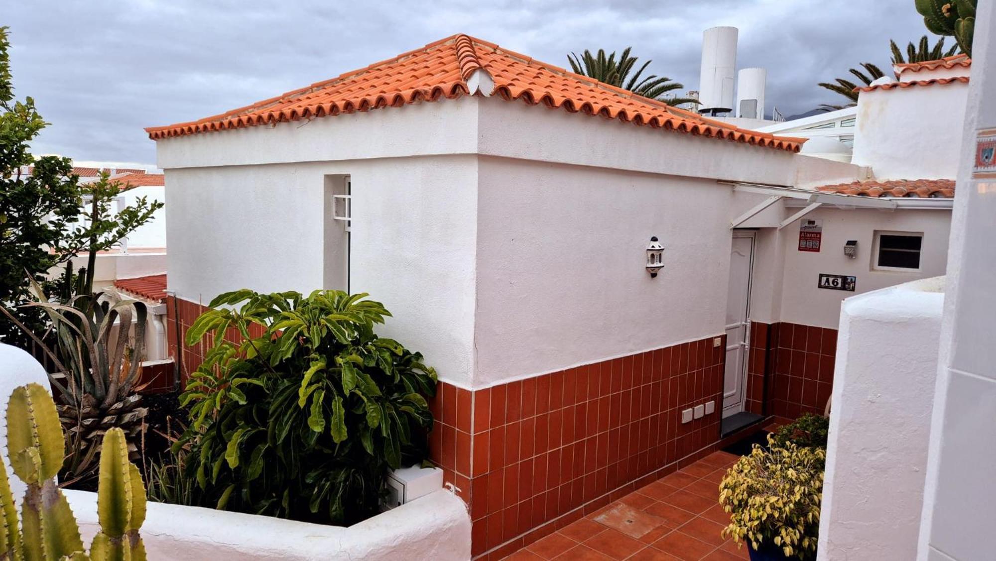 Costa Adeje Bungalow -Tenerife Zewnętrze zdjęcie